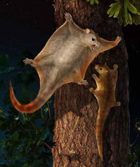 �Ž��h�����һС���^�� �w��֮�����D��