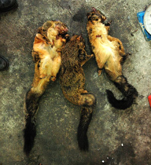 �Ž��h�����һС���^�� �w��֮�����D��