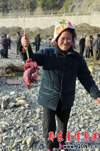 ��կ�������صġ���կ�����D��