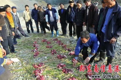 ��կ�������صġ���կ�����D��