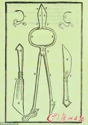 ����������ᘵ����g������