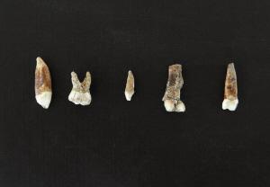 �ڸ�ʲķɽ���аl�F�����X��ʯ