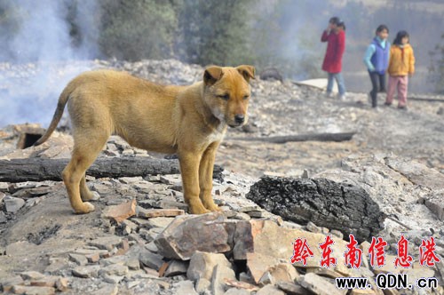 �_�����(z��i)�¹��m(x��)����������ÿ���ɫ@7000Ԫ�r��