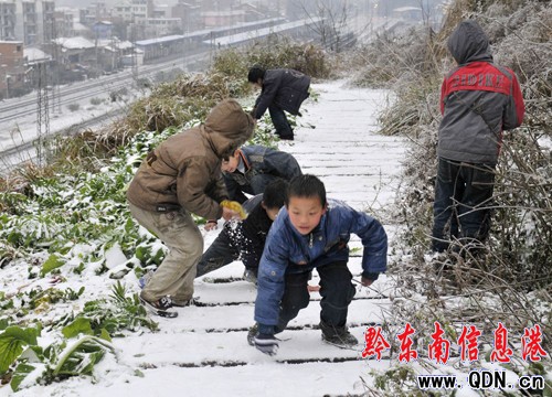 �얣����ӂ�ѩ����g��Ԫ����(ji��)���M�D��