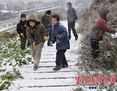 �얣����ӂ�ѩ����g��Ԫ����(ji��)���M�D��