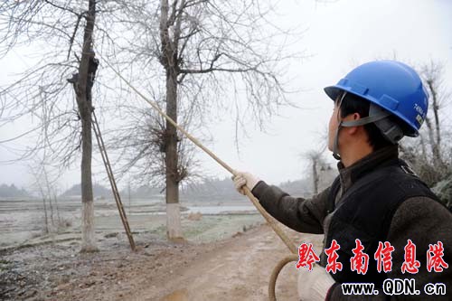 ��կ�������������Ⓦ��æ���M�D��