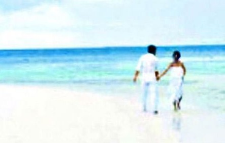 ��S��D���ƻ鼆���ع� �R�����������ۣ��D��