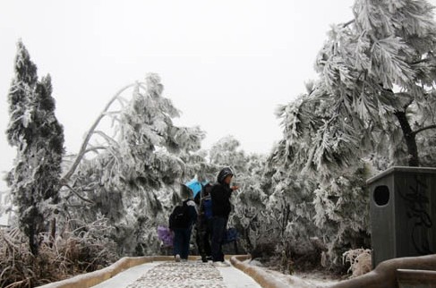 ѩ��������  ǭ�|�φ���(d��ng)��(j��)푑�(y��ng)��(y��ng)��(du��)���D��