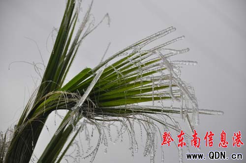 ��ѩ���С��ɽ�ɡ��^���_�� ˽��܇ð�U��ɽ