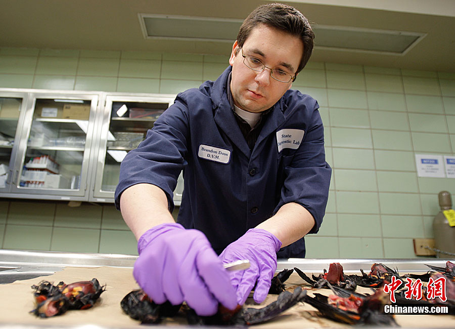 ��������ɫ�ݔ�ǧֻ�B�����������D��