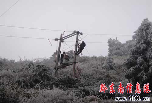 ǭ�|���Ƅӑ�ѩ����ͨ�żo��(�D)