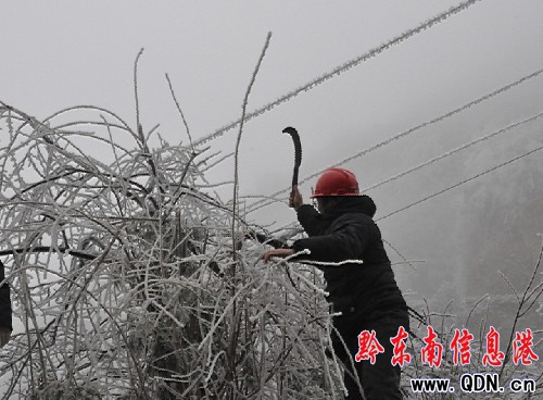 ��ɽǧ���C�P�ɲ��������������ٰlչ���D��