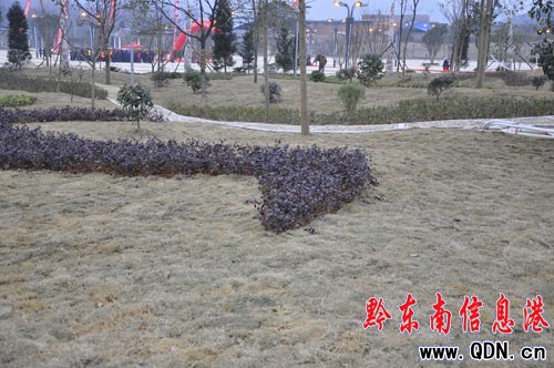 �P���Њ^�_�V�������_�@���D��