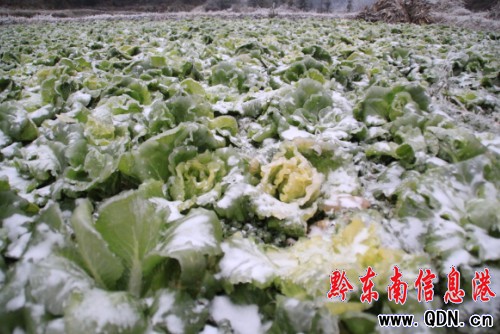 ������� ǭ�|�����r�����ܞģ��D��