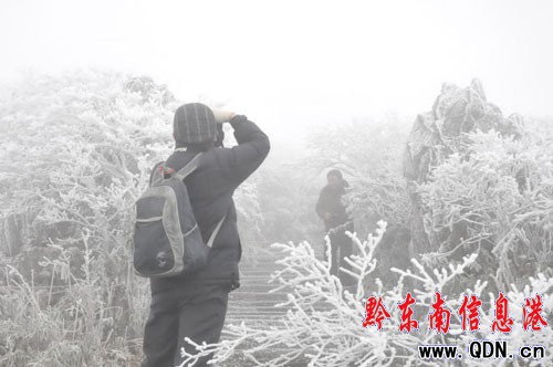 �׹�ɽ����ɭ�ֹ��@���F�Fڡ���^���D��