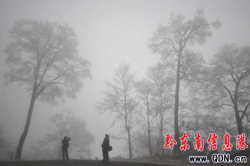 �׹�ɽ����ɭ�ֹ��@���F�Fڡ���^���D��