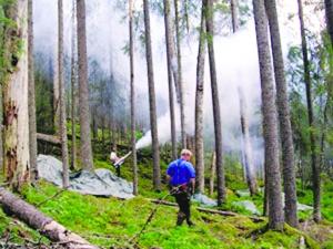 ��������N��ΰl(f��)�F(xi��n)��ʧ��֮�������xĿ��(bi��o)(�D)