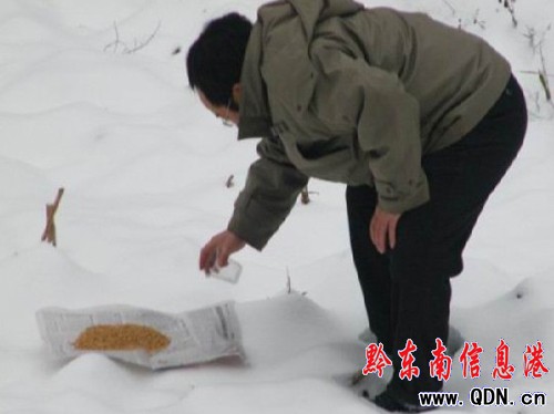 �齭�̲���Ұ��Ͷʳ����Ұ������D��