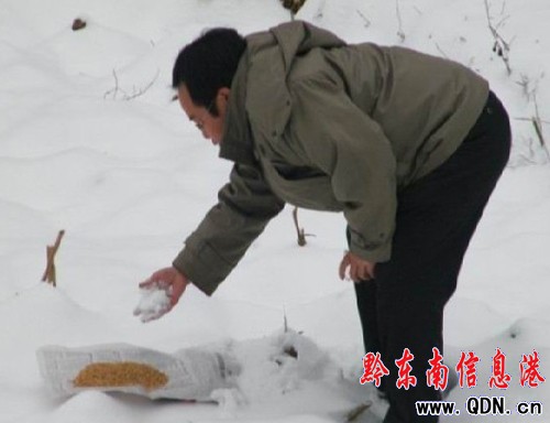 �齭�̲���Ұ��Ͷʳ����Ұ������D��