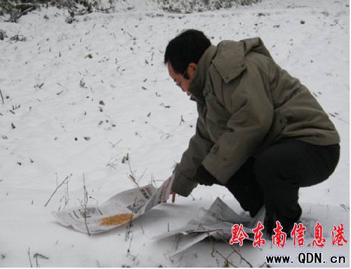 �齭�̲���Ұ��Ͷʳ����Ұ������D��