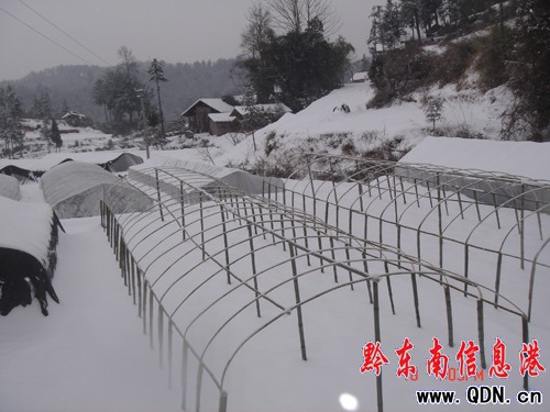 ǭ�|�����������B�r�񌣘I���������ѩ�؄�