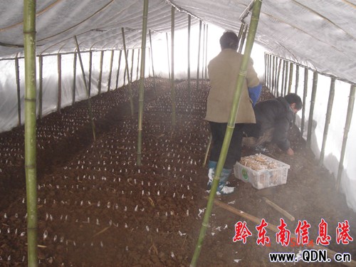 ǭ�|�����������B�r�񌣘I���������ѩ�؄�