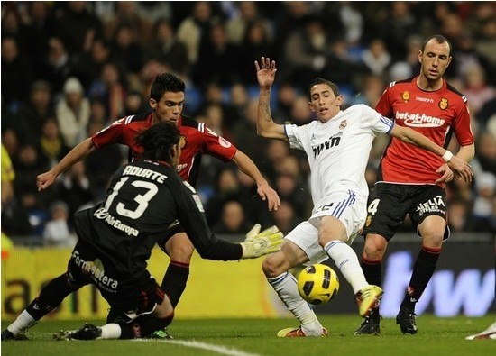 �M�D��׌�����R�w���� ������C�_Ҳ�ǂ����