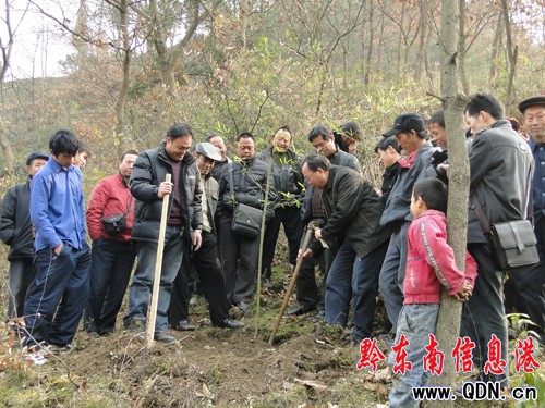 �얿hѩ�����g�_չ�r����ӖȺ���f�ã��D��