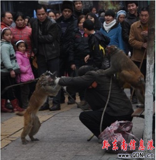 ˣ������ˣ�ﱻ�ˣ�����D��