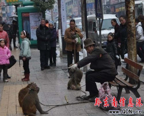 ˣ������ˣ�ﱻ�ˣ�����D��