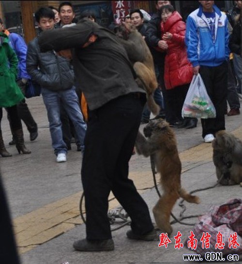 ˣ������ˣ�ﱻ�ˣ�����D��