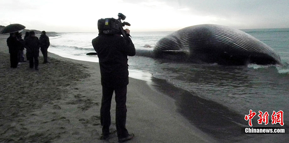 25���L���L������������R�\����