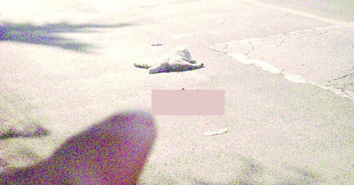 ����؈��܇���� ��(sh��)ֻС؈?zh��)���ʬ�w������(�D)