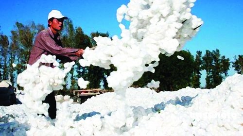 �M���ރr���¸� �޼ӹ���I�_���ʲ���˳�