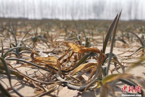 ��ؼZʳ���a�^���ش󺵞� 257�f���ˮ���y