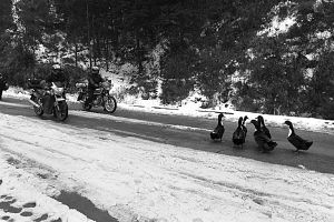 ���U�����ؽY�� �Ķȷ�܇ �����· �w�����t(�M�D)