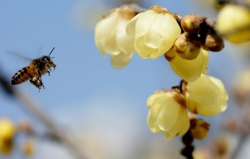 �P��������ɯ�V���D÷��ʢ�_���D��