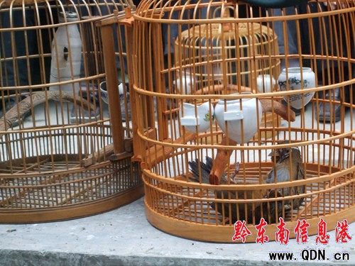 ��ɽ�e�k�������B�����L�\����ِ���M�D��