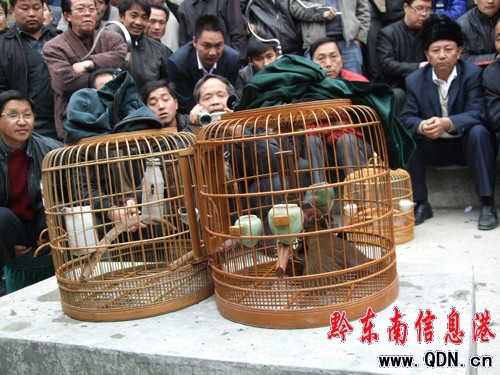 ��ɽ�e�k�������B�����L�\����ِ���M�D��