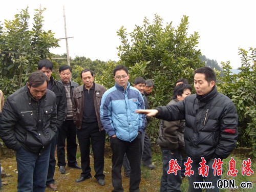 ˼�����ĵ�������700�f ��߅�hĽ��ǰ�텢�^�W��