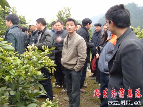 ˼�����ĵ�������700�f ��߅�hĽ��ǰ�텢�^�W��