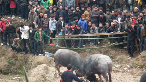 �Ž�������ţ��ܡ������˷��οͣ��D��