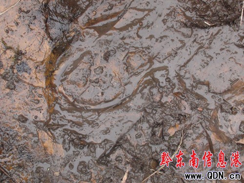 �����l�F�R���Ύr�����M�D��