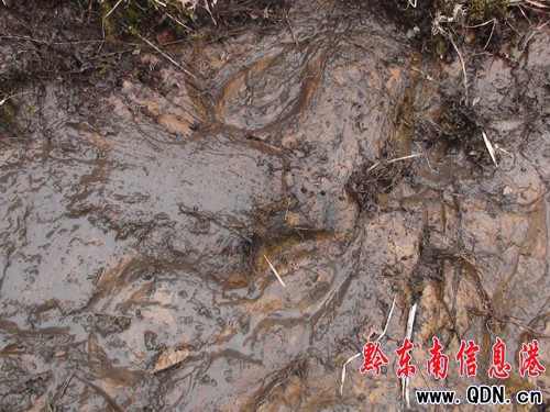 �����l�F�R���Ύr�����M�D��