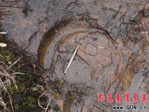 �����l�F�R���Ύr�����M�D��