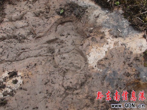 �����l�F�R���Ύr�����M�D��