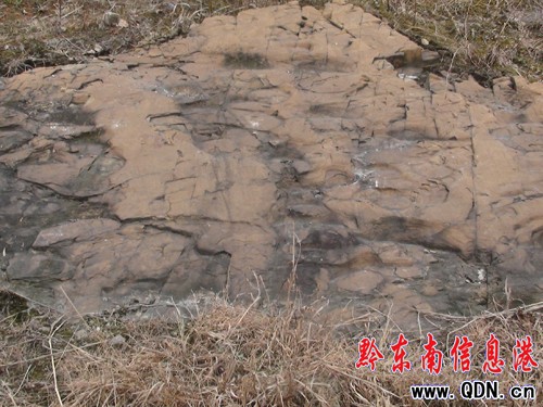 �����l�F�R���Ύr�����M�D��