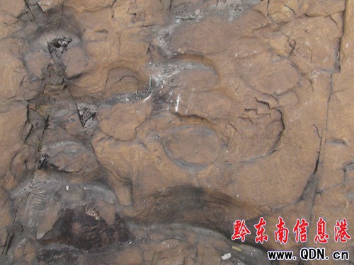 �����l�F�R���Ύr�����M�D��