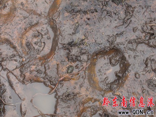 �����l�F�R���Ύr�����M�D��