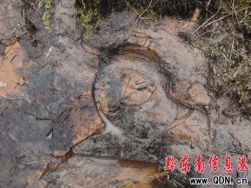 �����l�F�R���Ύr�����M�D��